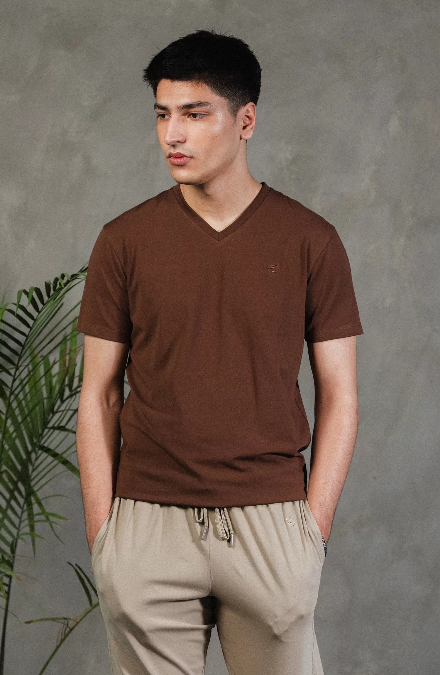 Basic V-Neck T-Shirt