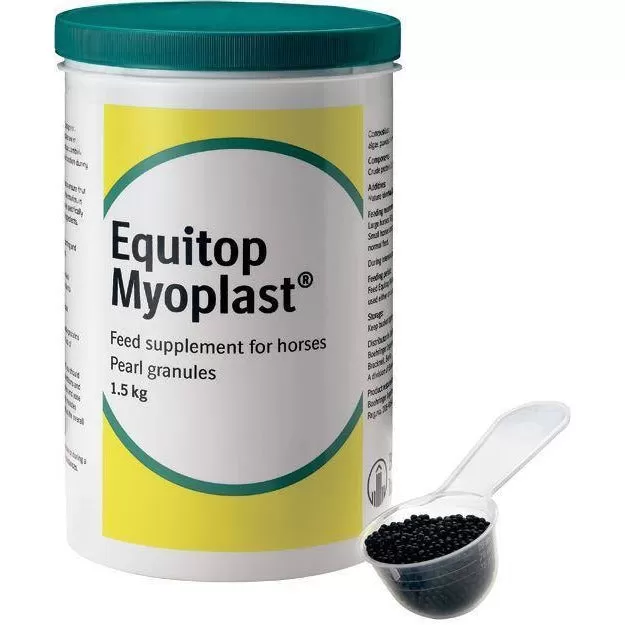 Equitop Myoplast for Horses