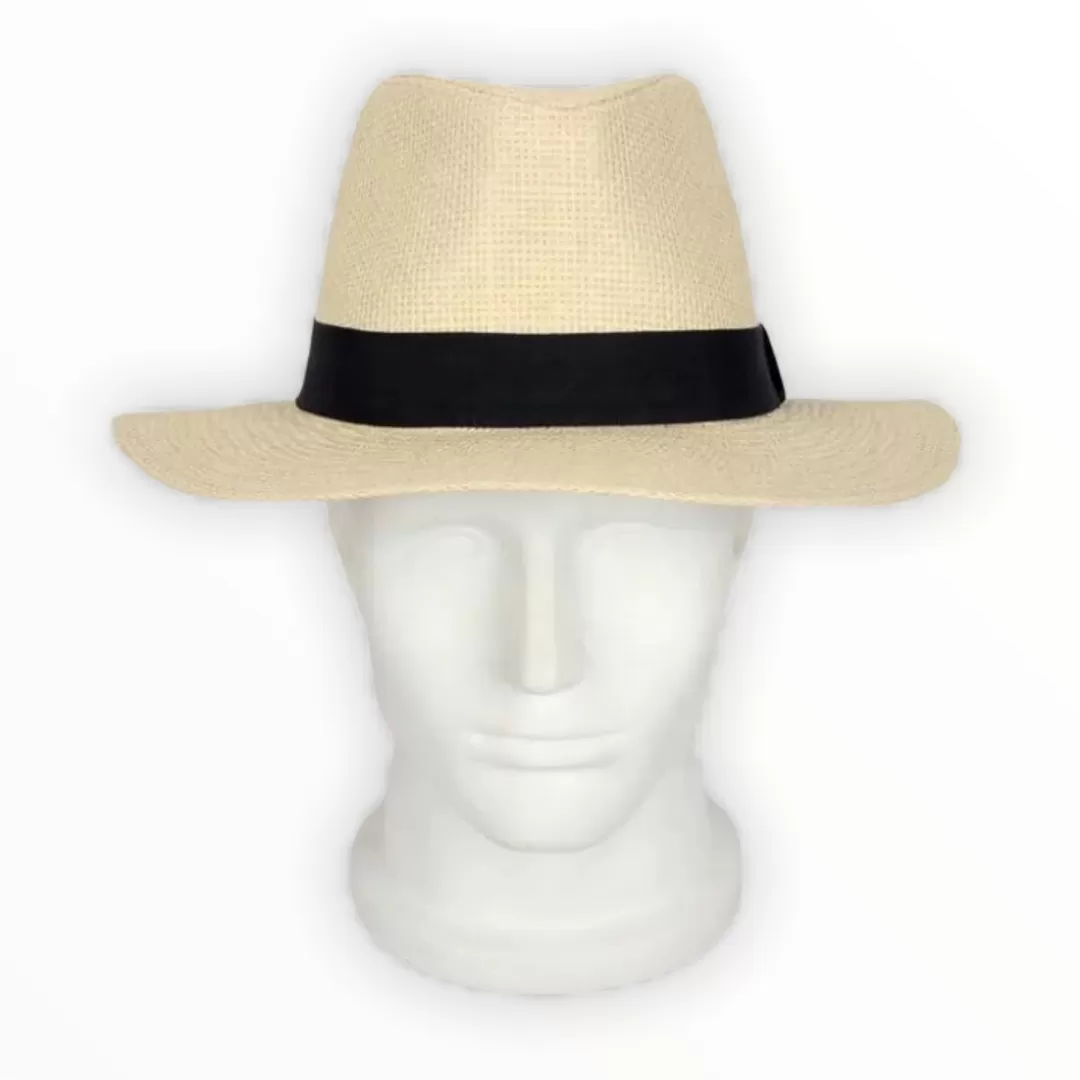 Fedora Wide Brim Hat