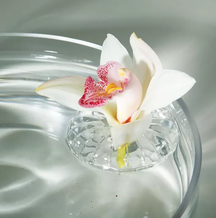 Floating Flower Vase