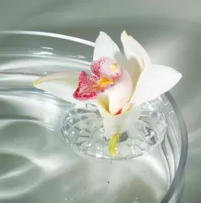 Floating Flower Vase