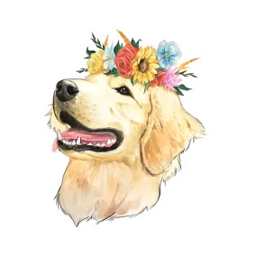 Flower Crown Golden Retriever Sticker