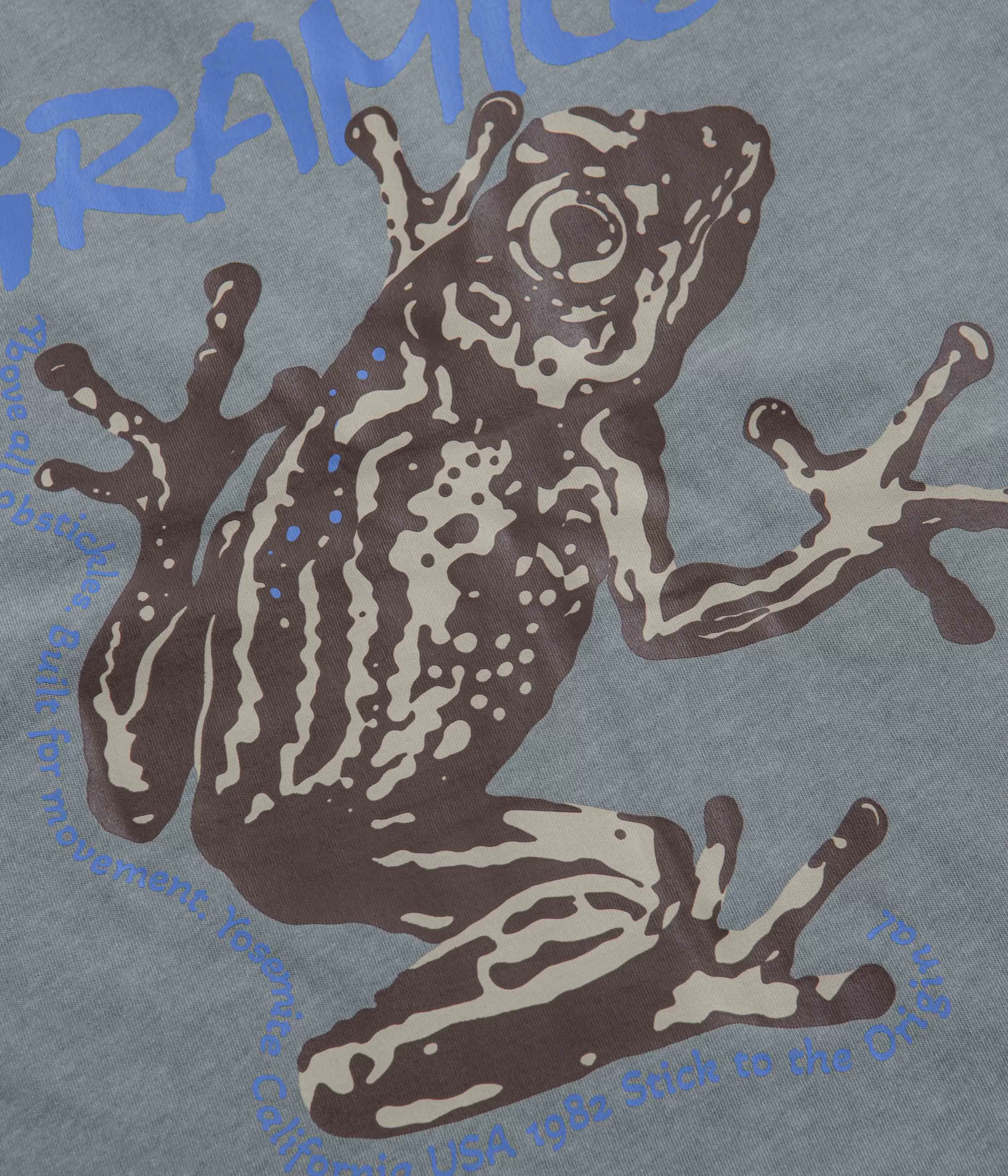 Gramicci Sticky Frog T-Shirt - Slate Pigment