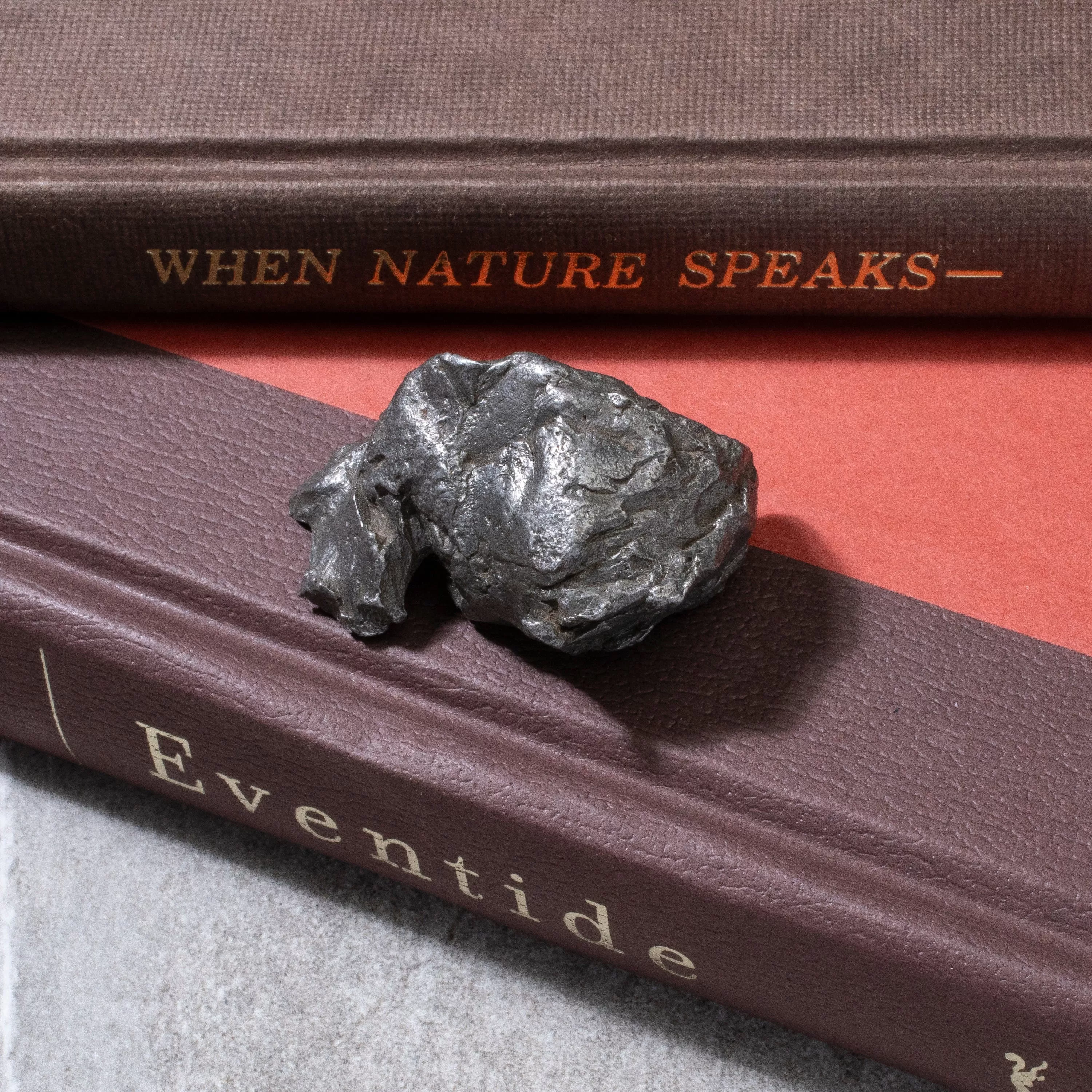 Natural Sikhote-Alin Meteorite from Russia- 2 / 95 grams